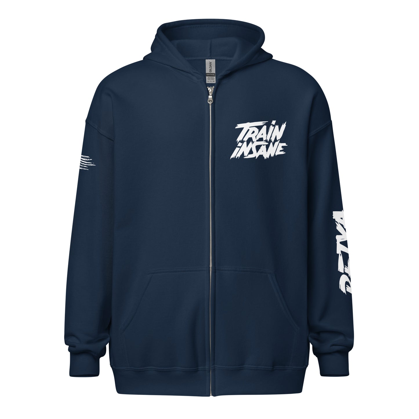 Train Insane | Men's Heavy Blend Zip Hoodie - Bejya