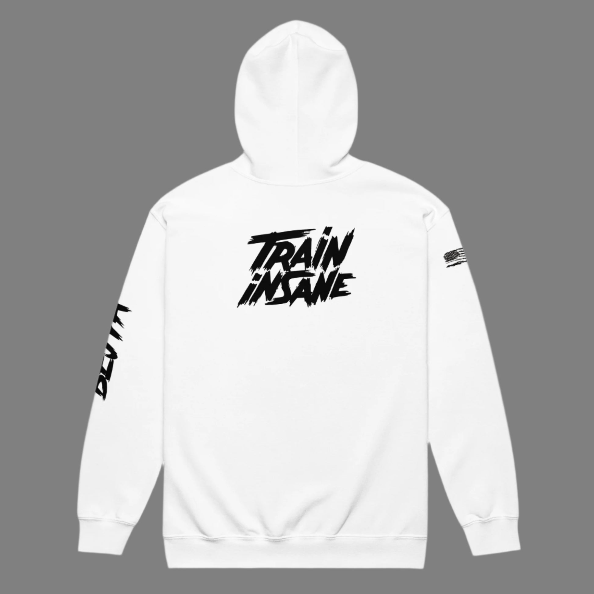 Train Insane | Women's Heavy Blend Zip Hoodie - Bejya