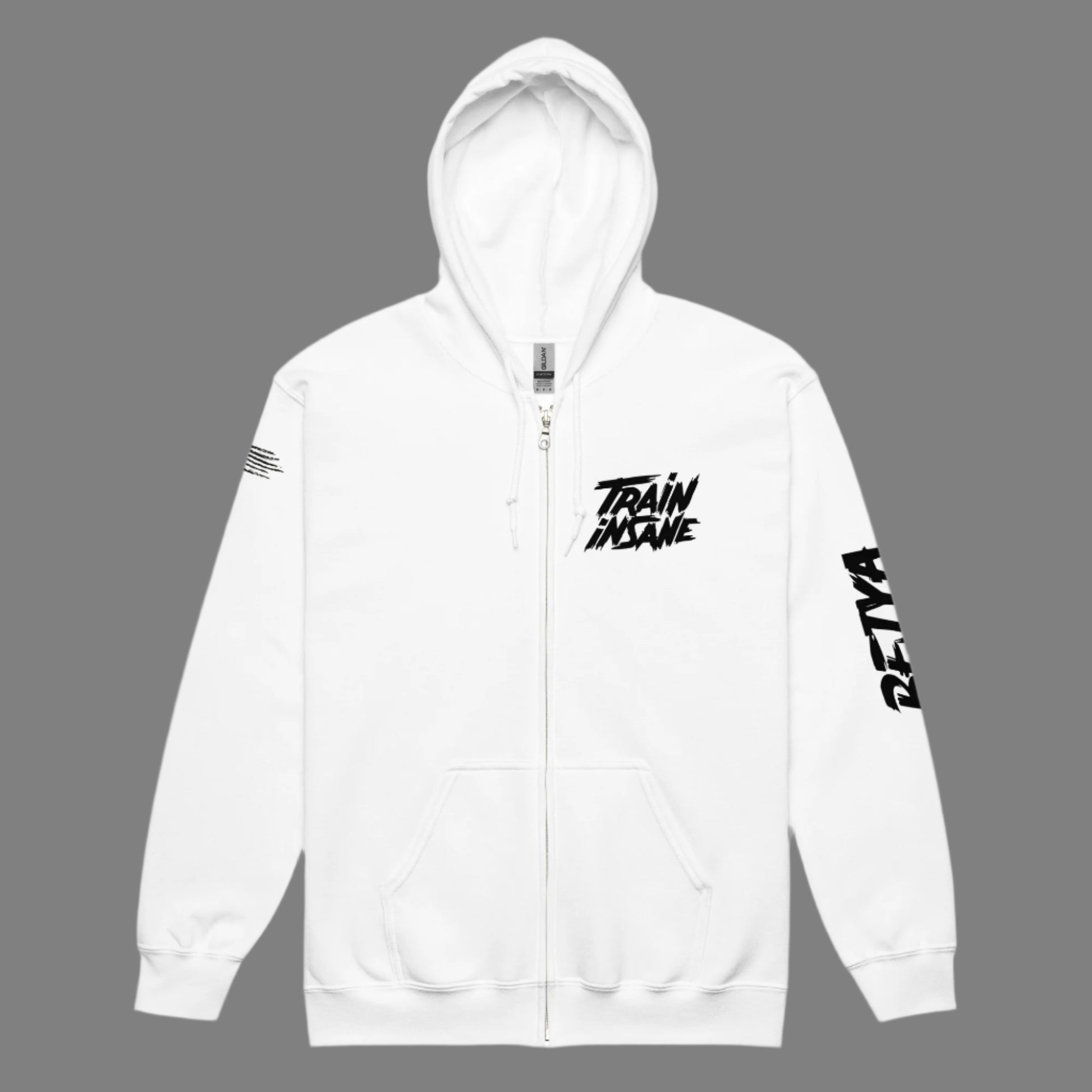 Train Insane | Women's Heavy Blend Zip Hoodie - Bejya