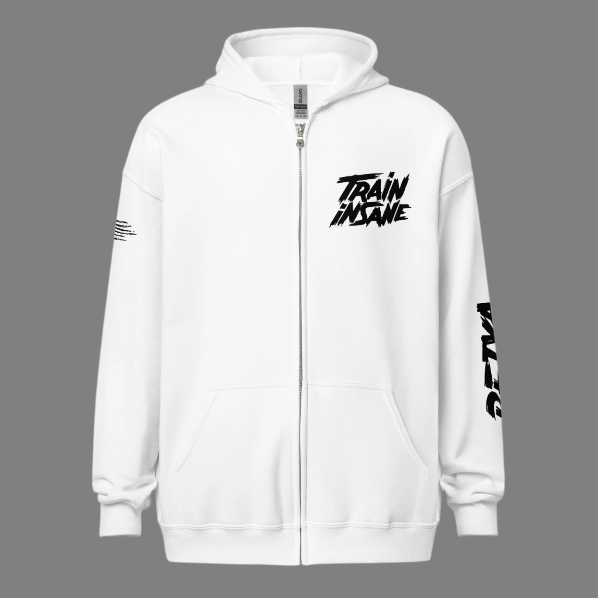 Train Insane | Men's Heavy Blend Zip Hoodie - Bejya